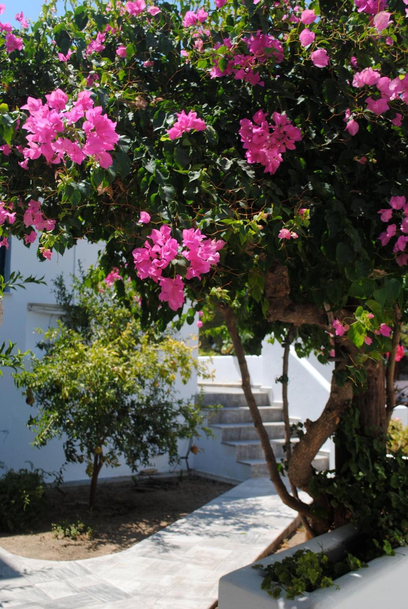 Apart Otel Apollonia